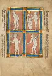 Antypoda; Scinopod; wybrzeże etiopskie; Psalmlar